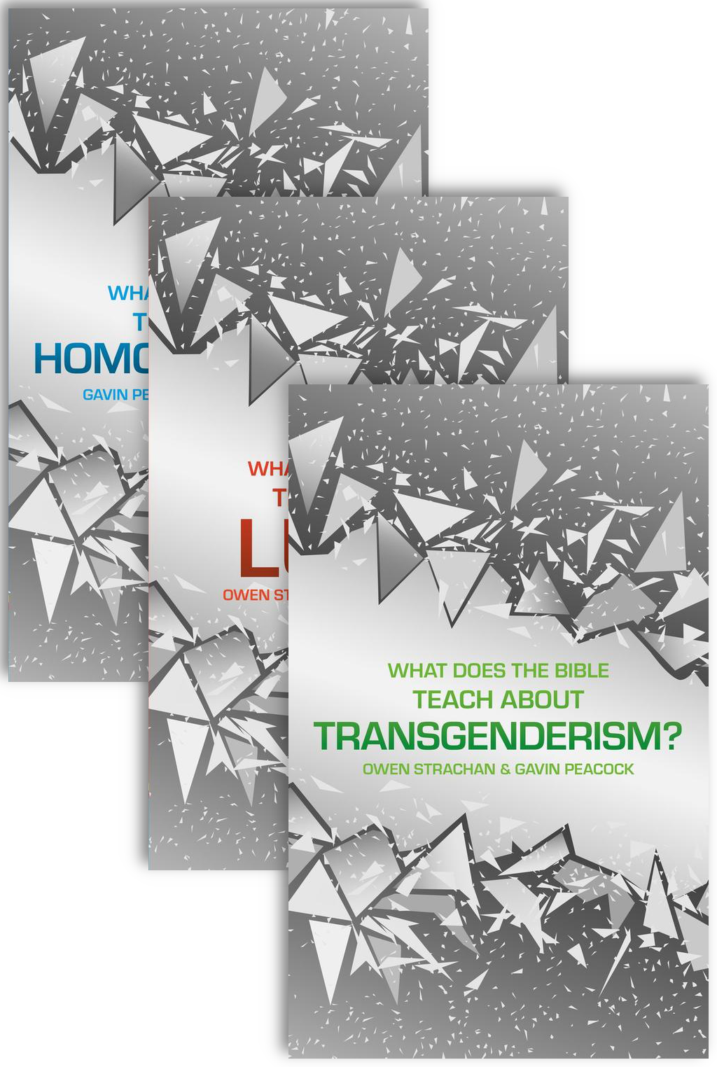 What Does the Bible Teach About Sexuality and Identity? (3-Volume Set)
