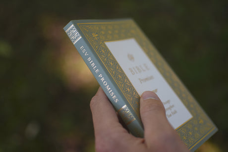 ESV Bible Promises