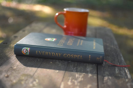 Paul Tripp's Everyday Gospel