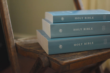 ESV Economy Bibles