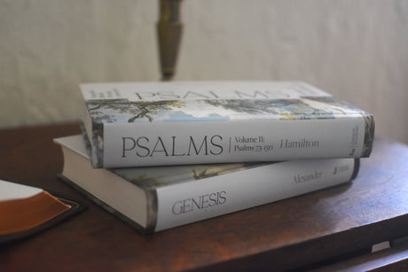 Evangelical Biblical Theology Commentary