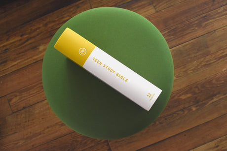 ESV Teen Study Bible