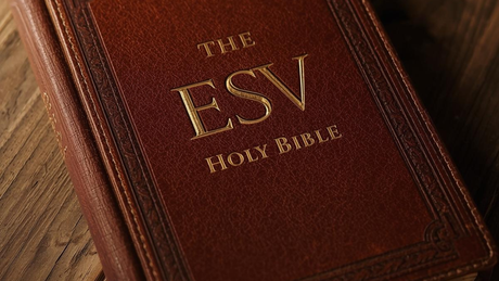 ESV vs NIV Bibles
