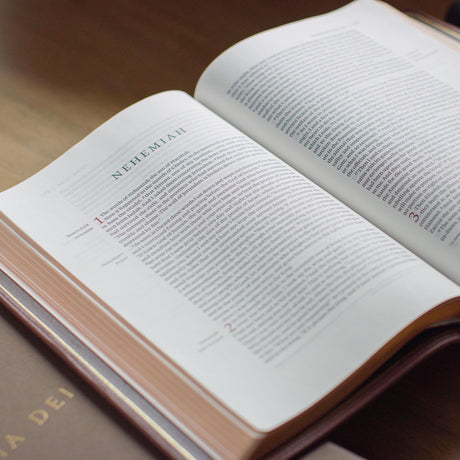 December ESV Bible Sale