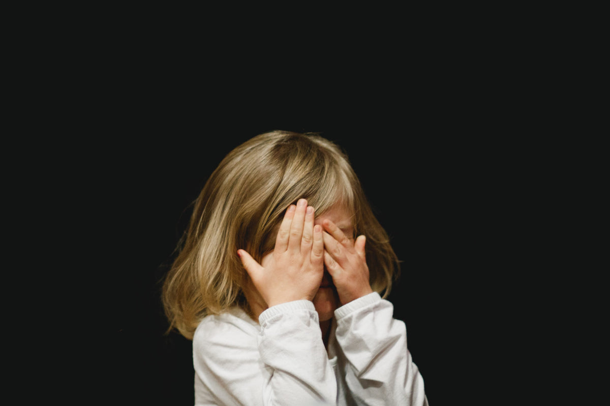 Helping Kids Overcome Life's Fears – Westminster Bookstore
