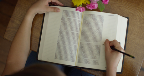 ESV Journaling Bibles