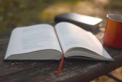 Who Wrote The Bible?