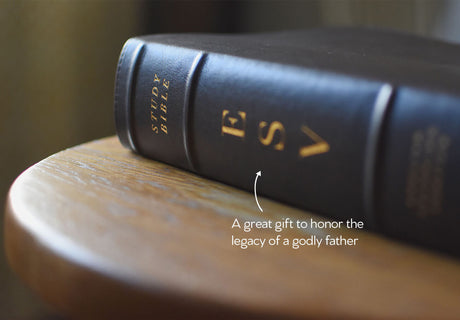 Father's Day Study Bible Sale