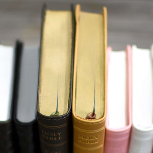 ESV Vest Pocket New Testament with Psalms and Proverbs