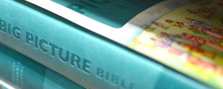 Kids Bibles