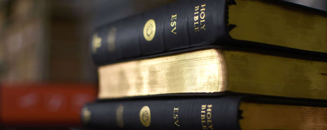 ESV Heirloom Bible