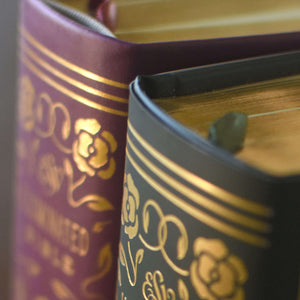 ESV Illuminated Bible