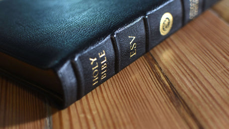 Premium BIbles