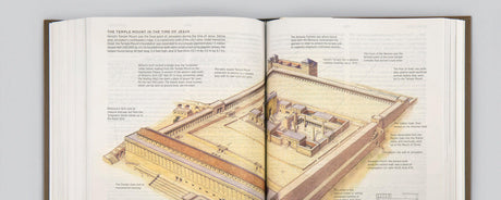 Study Bibles