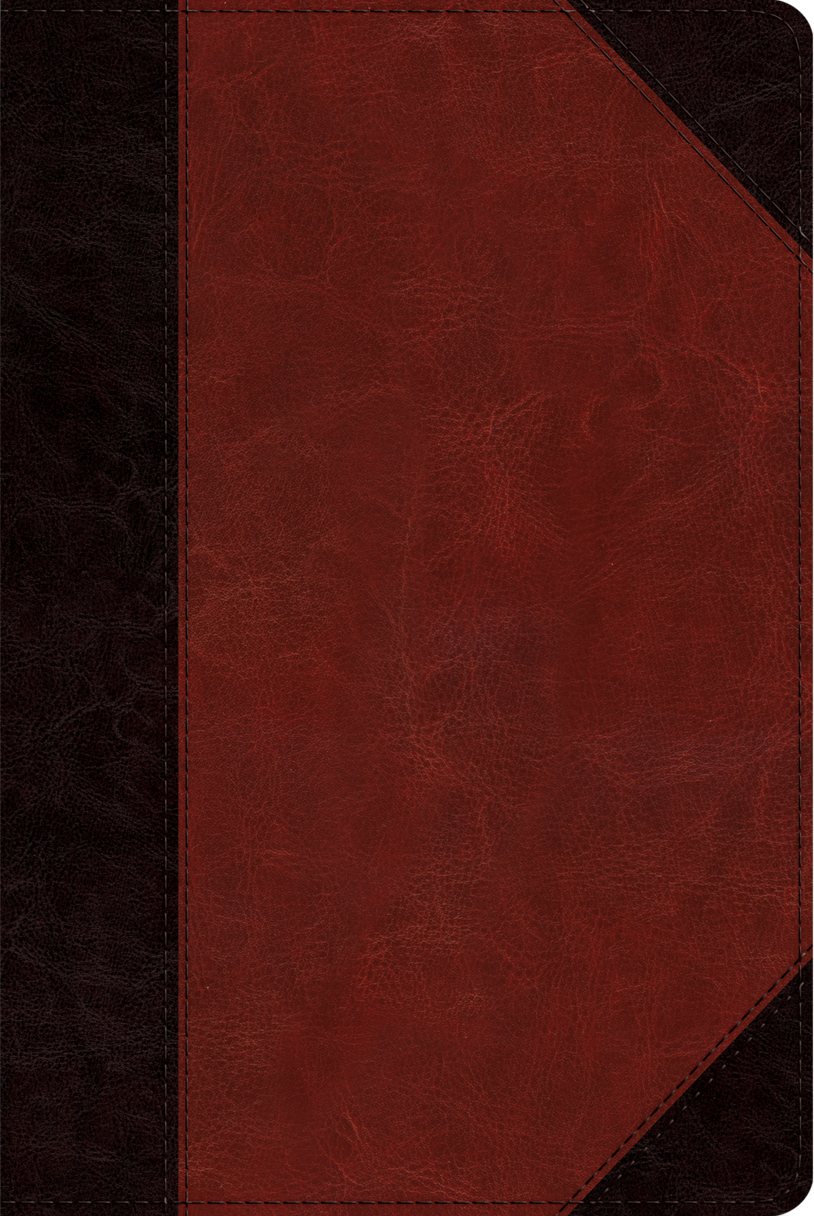 ESV Study Bible, Personal Size (Trutone, Brown/Cordovan, Portfolio Design)