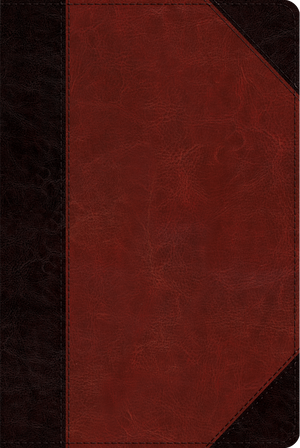 ESV Study Bible, Personal Size (Trutone, Brown/Cordovan, Portfolio Design)