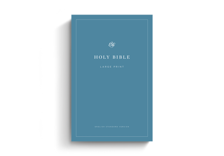 ESV Economy Bible, Large Print (Paperback) - Multiple - 9798874906481