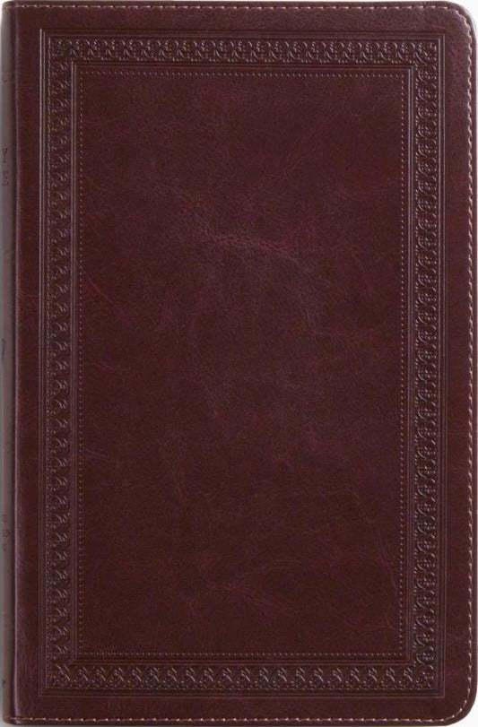 ESV Thinline Bible, Red Letter (Trutone, Mahogany, Border Design) - ESV - 9798874903633