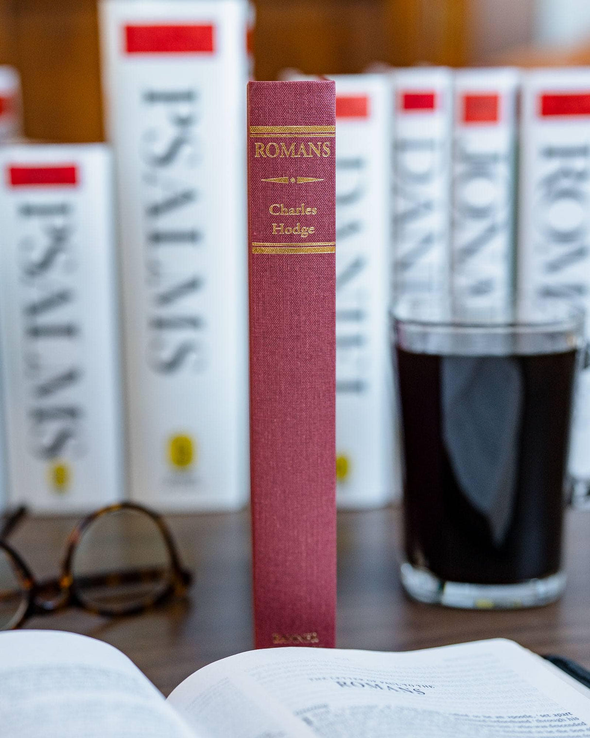 Romans (Geneva Commentaries)