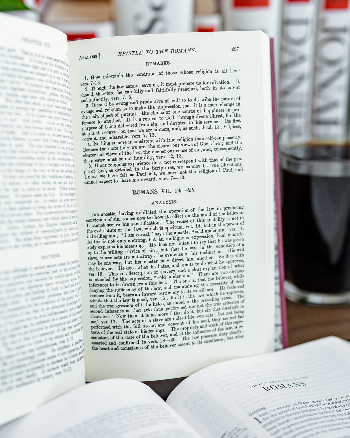 Romans (Geneva Commentaries)