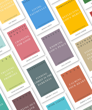 31-Day Devotionals for Life set with covers of Addictive Habits, Anxiety, Depression, Anger, Forgiveness and more