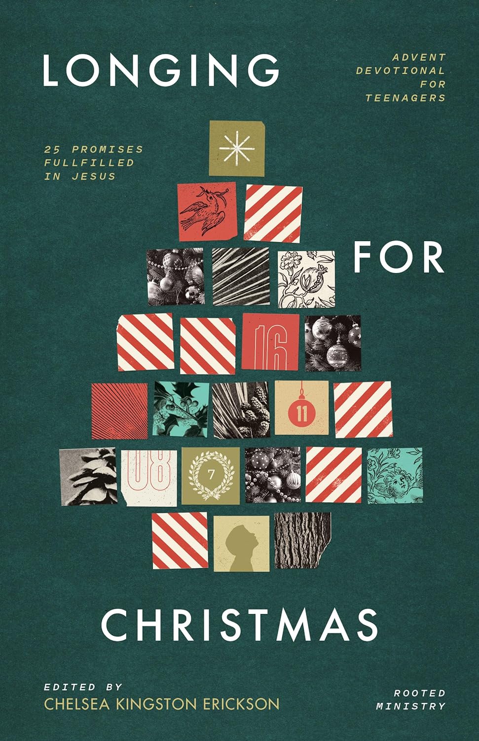 Longing for Christmas: 25 Promises Fulfilled in Jesus, Advent Devotional for Teenagers - Erikson, Chelsea Kingston (editor) - 9781645074700