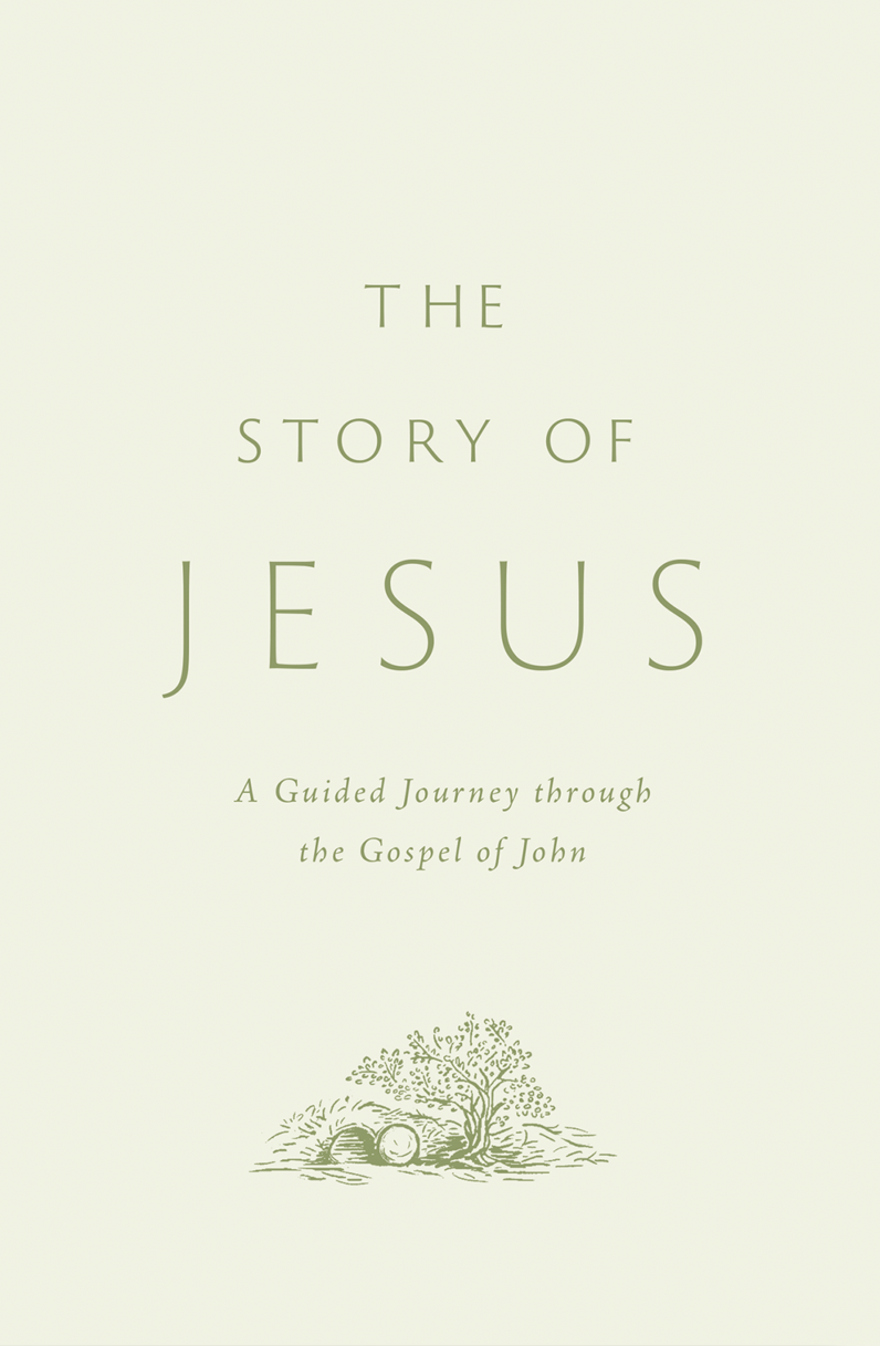 The Story of Jesus: A Guided Journey Through the Gospel of John (Paperback)