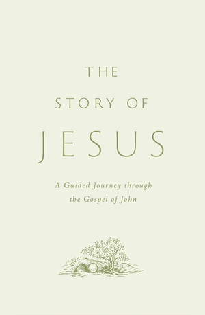 The Story of Jesus: A Guided Journey Through the Gospel of John (Paperback)