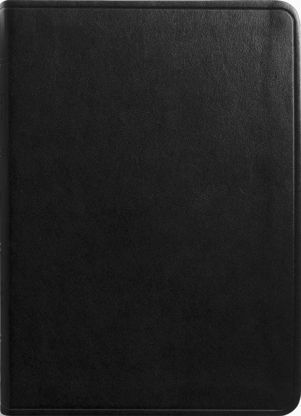 ESV Value Large Print Compact Bible (Trutone, Black) - ESV - 9798874903053