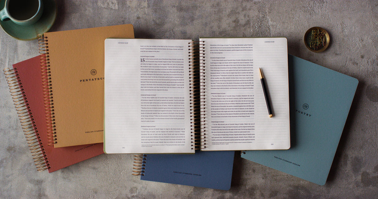 ESV Spiral-Bound Journaling Bible, Five-Volume Set (Hardcover)