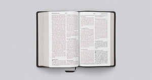 ESV Giant Print Personal Size Bible, Red Letter (Buffalo Leather, Deep Brown)