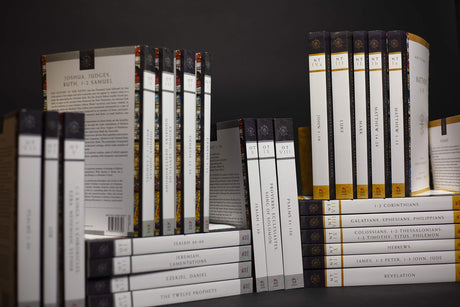 Ancient Christian Commentary on Scripture (30-Volume Set)