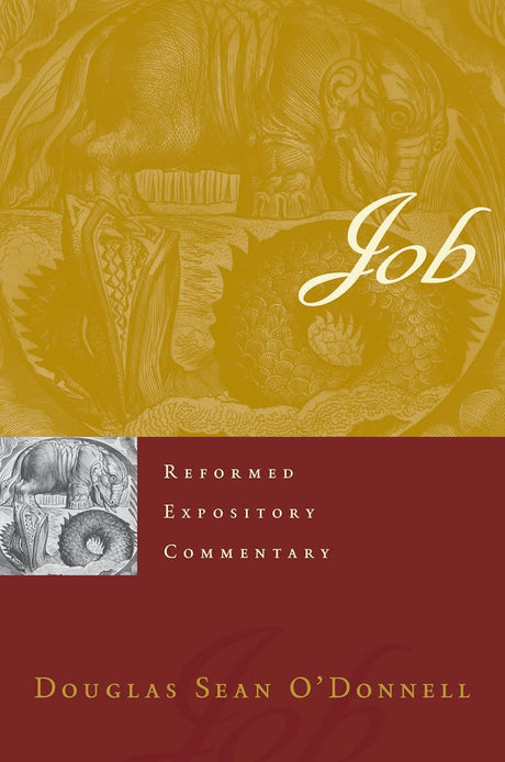 Job - O'Donnell, Douglas Sean - 9781629954523