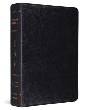 ESV Study Bible (Genuine Leather, Black) cover image (1023686475823)
