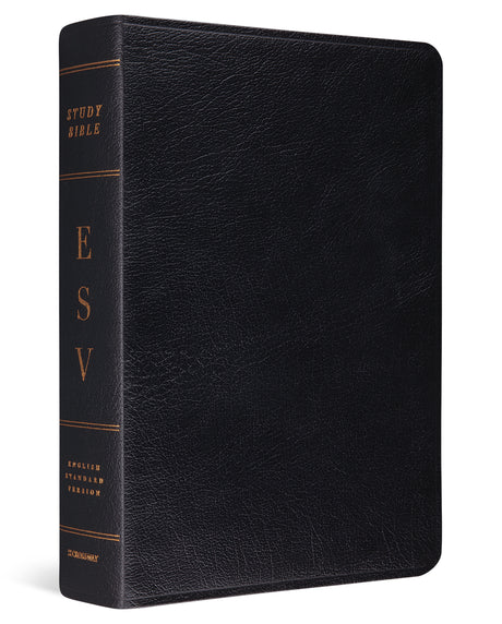 ESV Study Bible (Genuine Leather, Black) cover image (1023686475823)