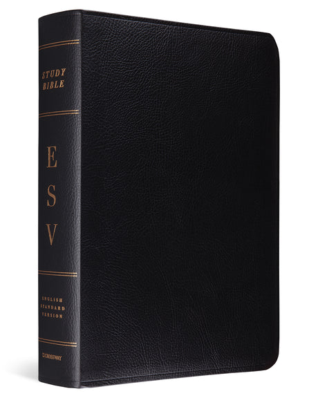ESV Study Bible (Bonded Leather, Black) cover image (1023653773359)