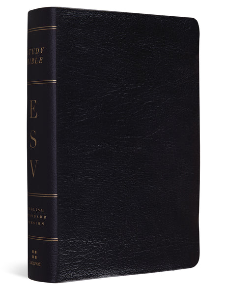 ESV Study Bible, Personal Size (Black, Genuine Leather) cover image (1060435263535)