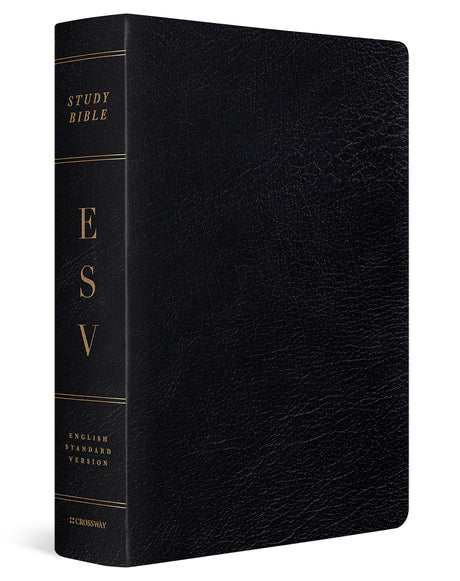 ESV Study Bible, Large Print (Genuine Leather, Black) cover image (1018281132079)
