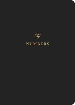 ESV Scripture Journal: Numbers front cover (1056719962159)