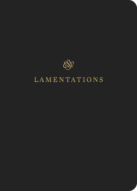ESV Scripture Journal: Lamentations front cover (1056720715823)