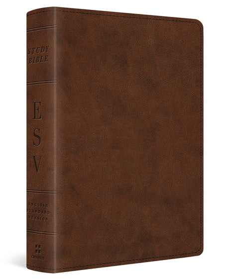 ESV Study Bible, Personal Size (TruTone, Brown) cover image (1023775768623)