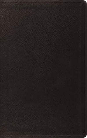 ESV Value Thinline Bible (Trutone, Black)