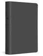 ESV Student Study Bible (TruTone, Gray) cover image (1042076860463)