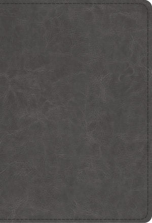 ESV Student Study Bible (TruTone, Gray) front cover (1042076860463)