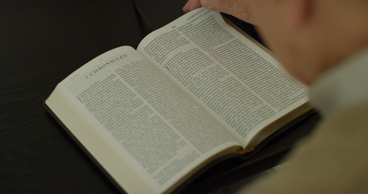 ESV Large Print Thinline Bible (Genuine Leather, Black)