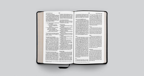 ESV Large Print Thinline Bible (Genuine Leather, Black)