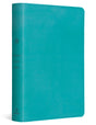 ESV Student Study Bible (TruTone, Turquoise) cover image (1042084331567)
