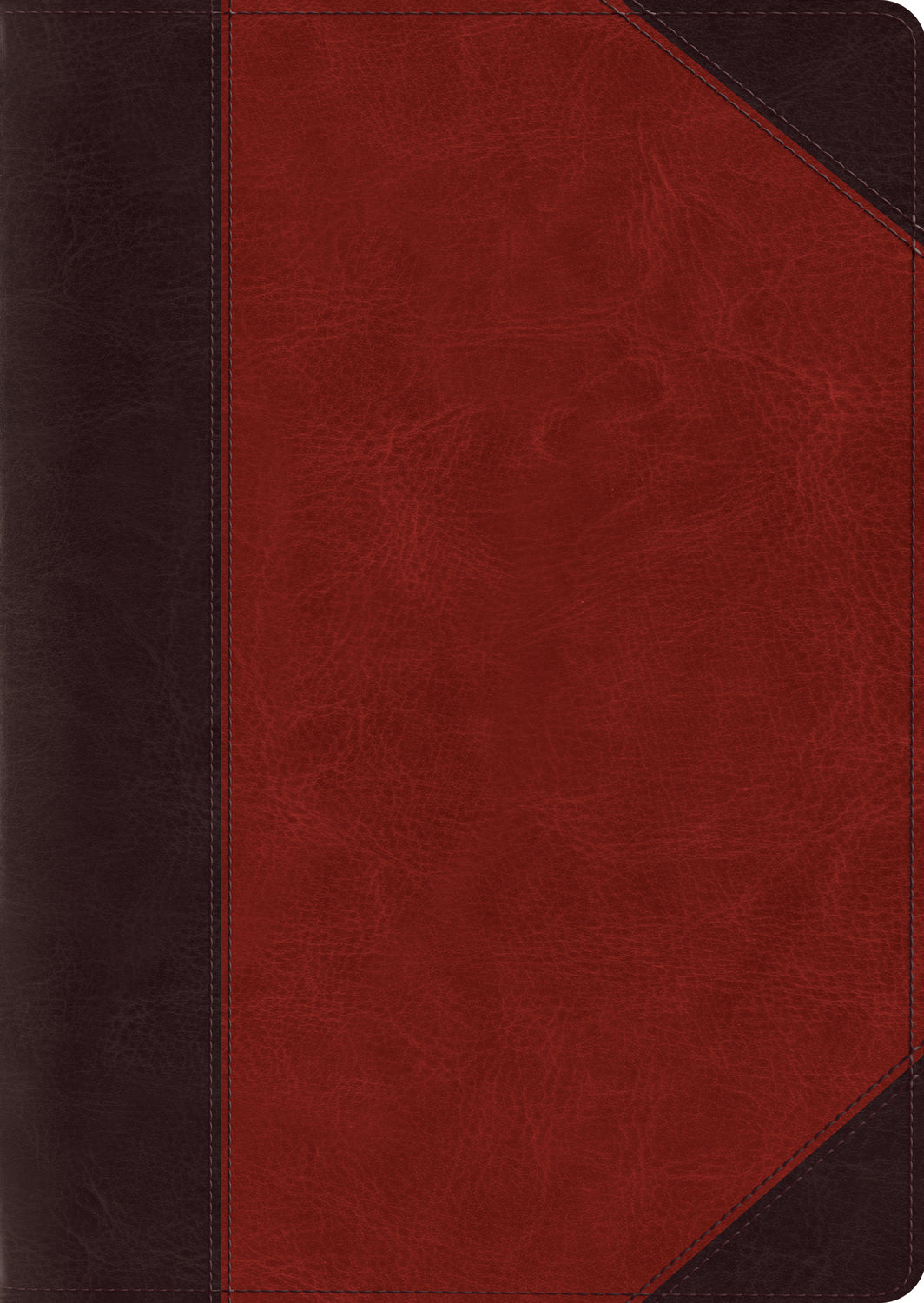 ESV Study Bible, Large Print (TruTone, Brown/Cordovan, Portfolio Design) front cover (1066787405871)
