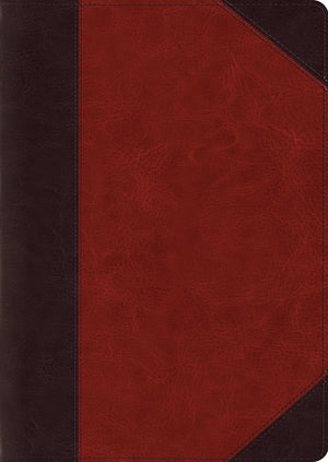 ESV Study Bible, Large Print (TruTone, Brown/Cordovan, Portfolio Design) front cover (1066787405871)