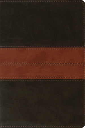 ESV Personal Reference Bible (TruTone, Deep Brown/Tan, Trail Design) front cover (1066785144879)